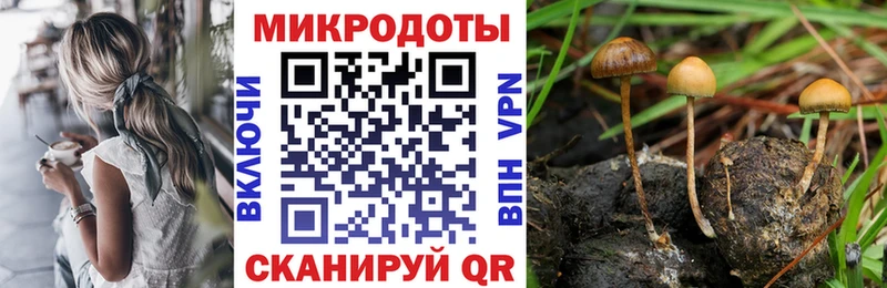 Псилоцибиновые грибы MAGIC MUSHROOMS  Новосибирск 